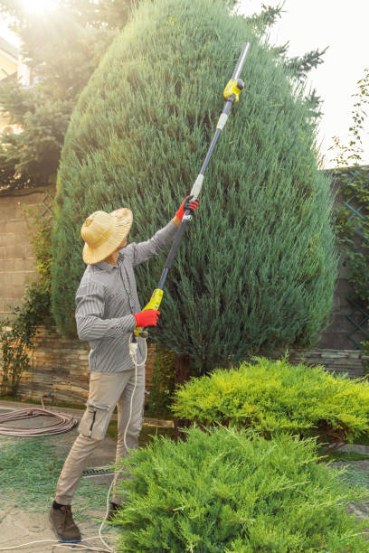 Best Lawn Pest Prevention  in Cambridge, MN